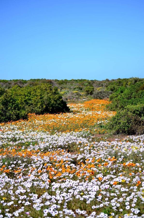 Cvista Lägenhet Jacobs Bay Exteriör bild